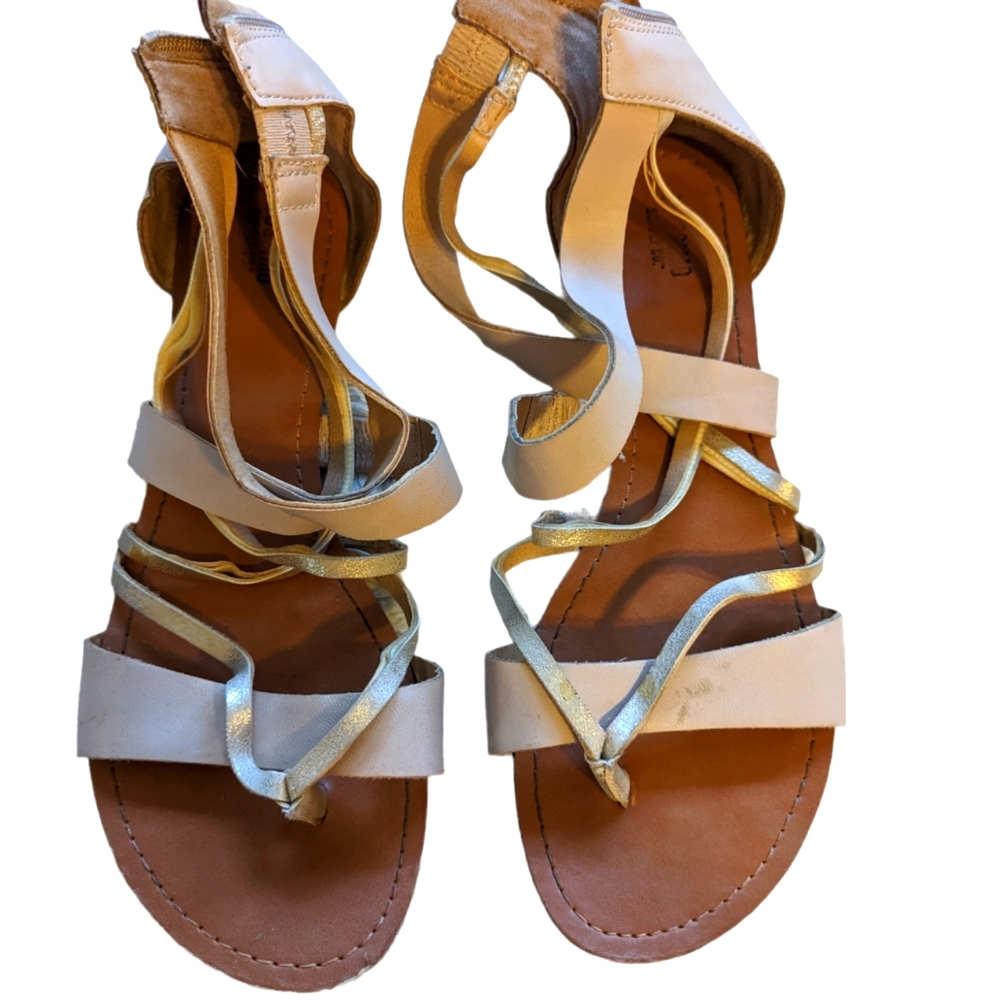 Blush and shimmer gold flats